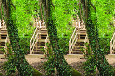 The new flights of wooden steps repeated times four across the image