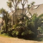 Exterior of Binnel Studios with palm trees and greenery in front of the building