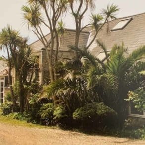 Exterior of Binnel Studios with palm trees and greenery in front of the building