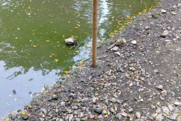 Big Mead Pond
