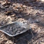 Disposable BBQ on the ground with leaves underneath