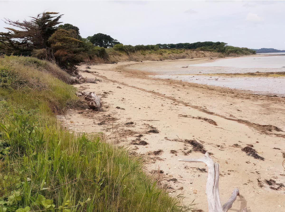 Beach along Hamstead Point to Thorness