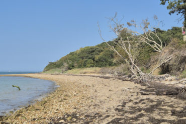 Beach along Hamstead Point to Thorness