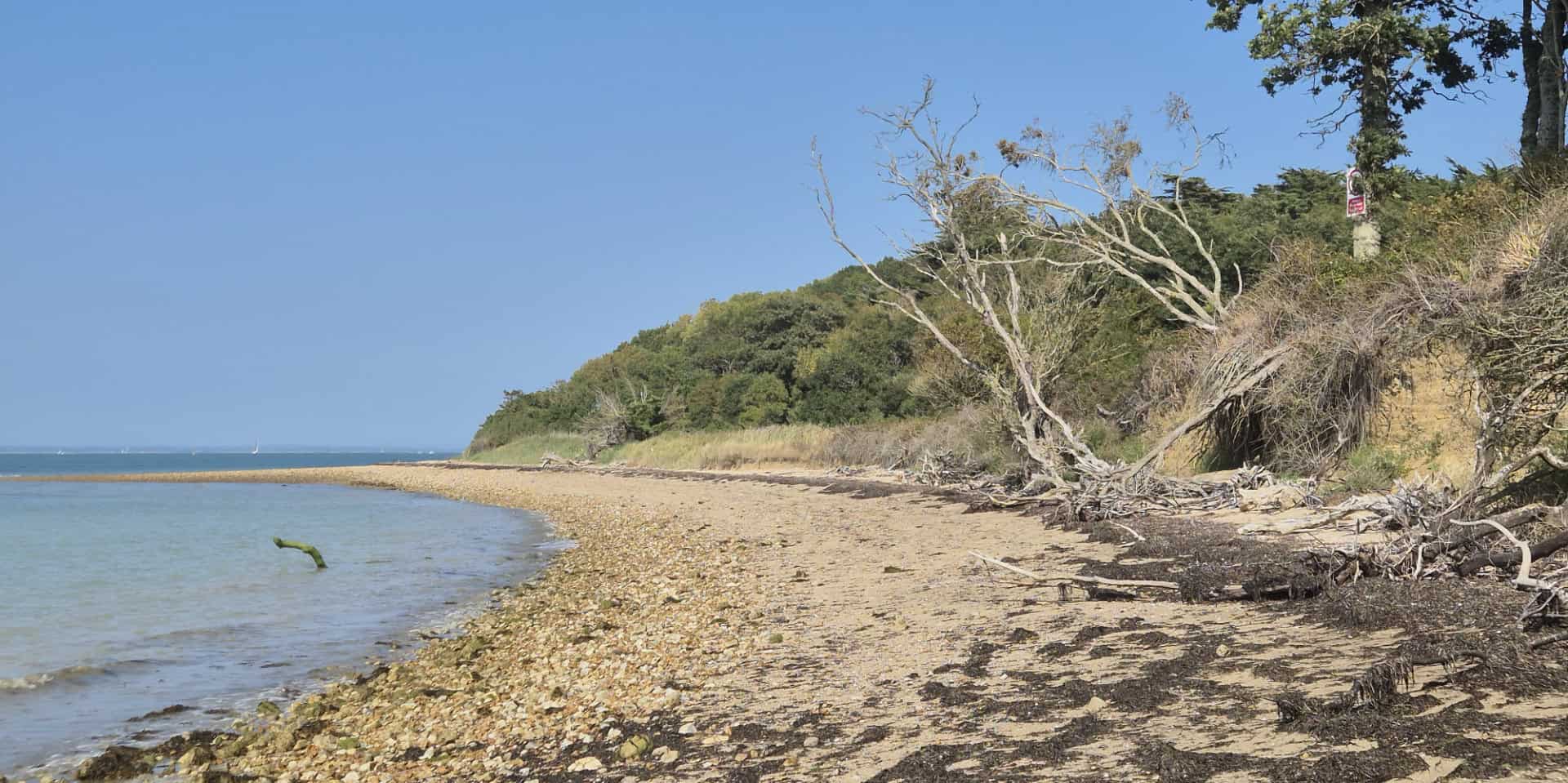 Beach along Hamstead Point to Thorness