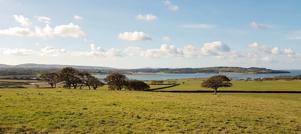 Landscape photo of newtown fields