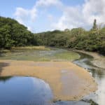 Low tide at Newtown creek