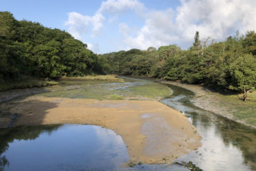 Low tide at Newtown creek