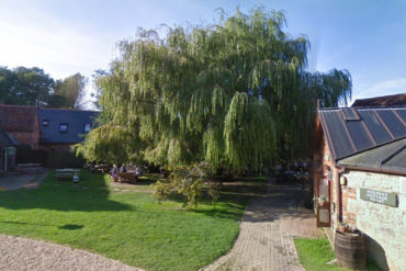 chessell pottery garden with large willow tree and a lawn