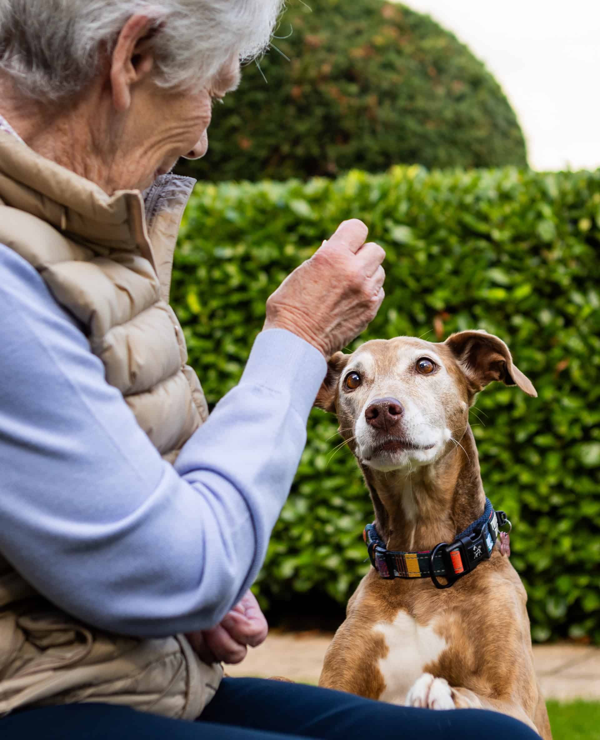 A woman feeding a dog treats