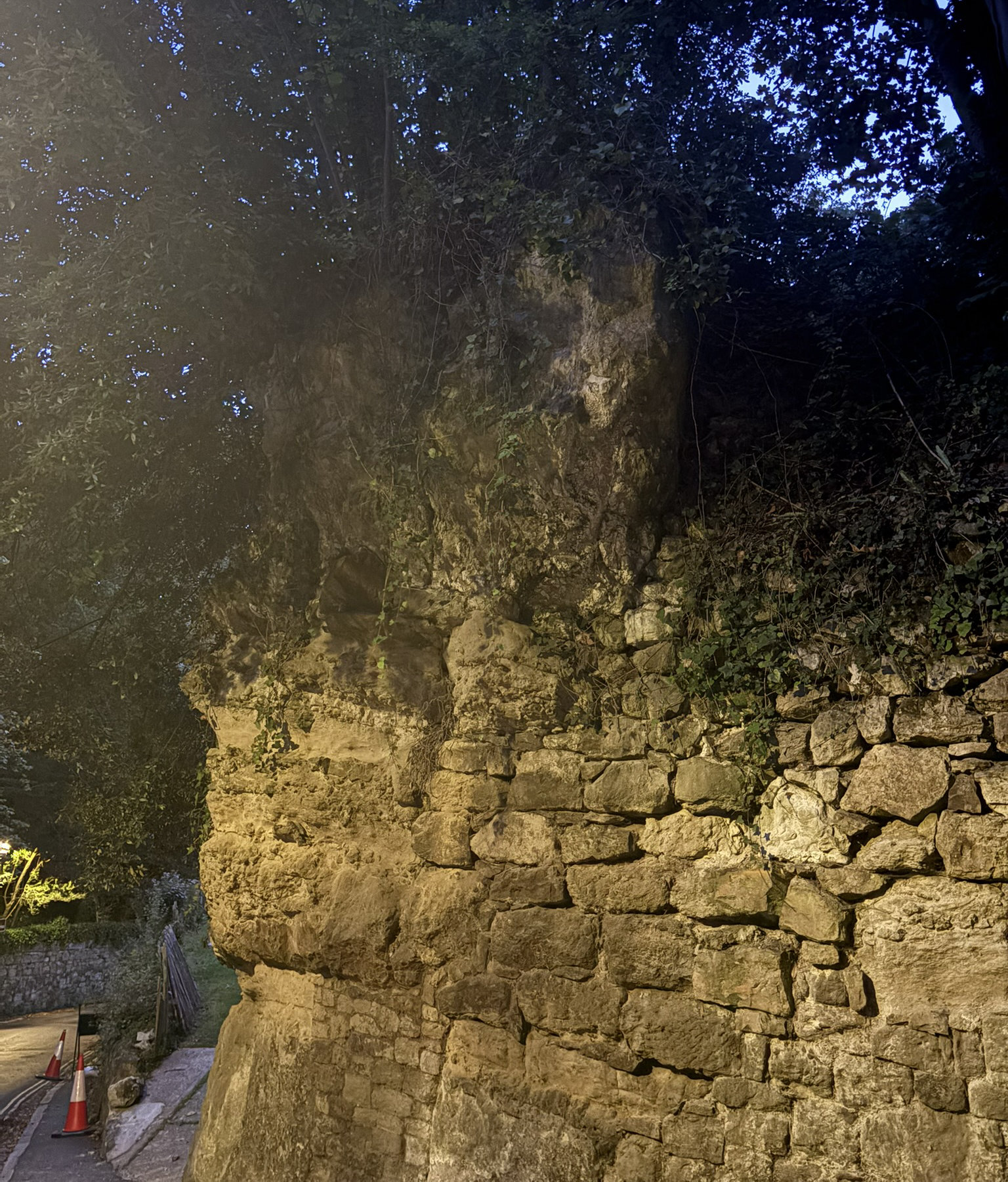 Early evening shot of the overhang rock and tree