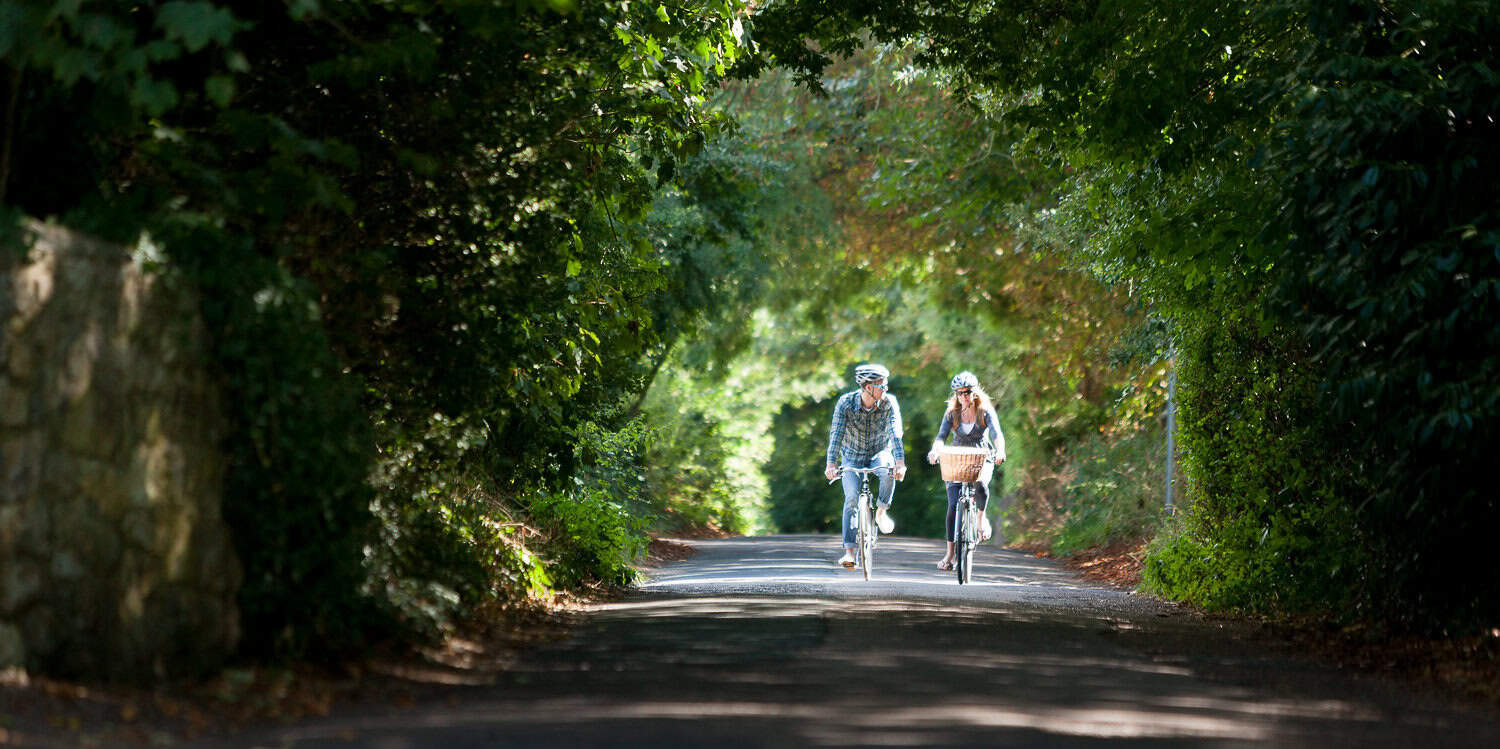 People cycling through green tunnel of woodland - Visit Isle of Wight