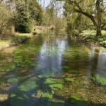 The river test in hampshire