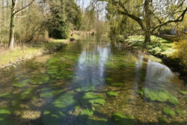 The river test in hampshire