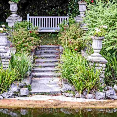 a seat at bonchurch pond