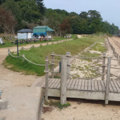 The shoreline at Osborne Estate