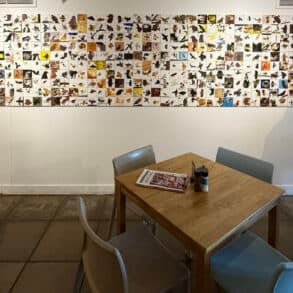 sea eagles paintings on the wall of the quay arts cafe