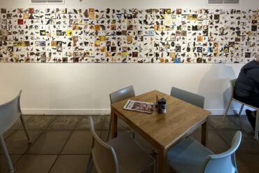 sea eagles paintings on the wall of the quay arts cafe