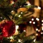 Christmas Tree and decorations