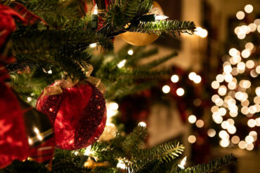 Christmas Tree and decorations