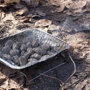 Disposable BBQ on the ground with leaves underneath