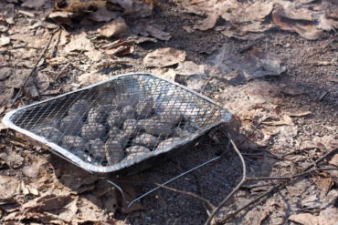 Disposable BBQ on the ground with leaves underneath