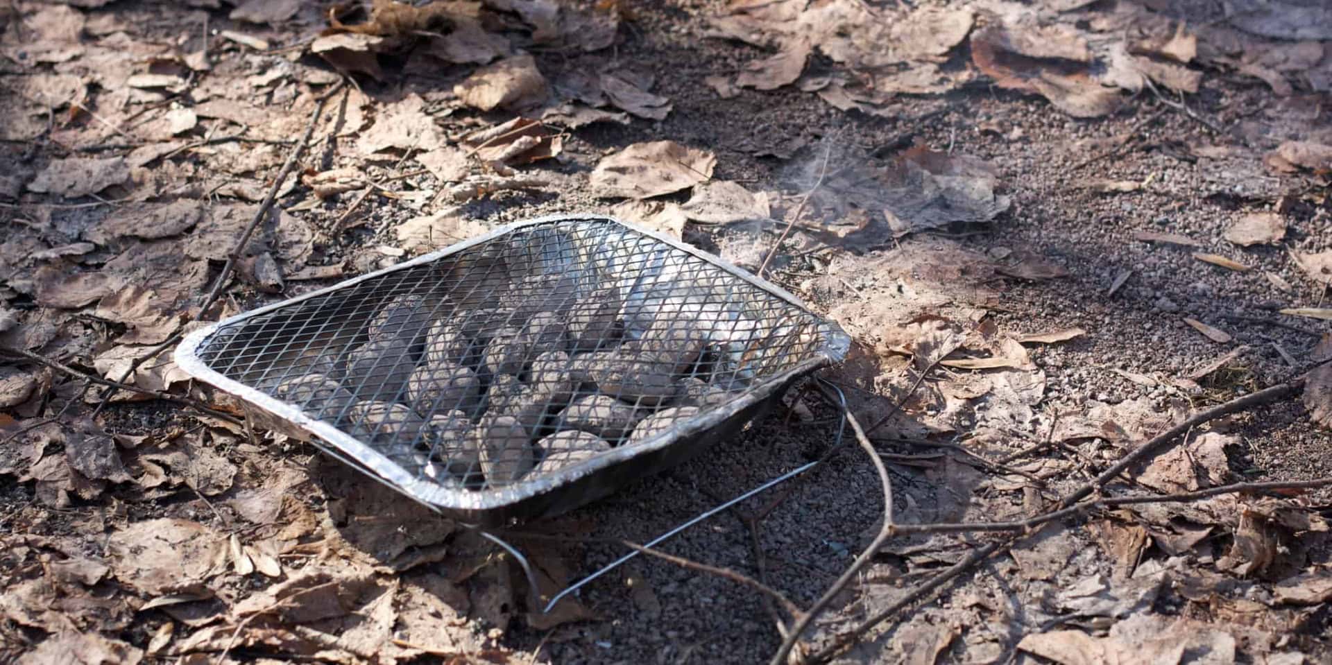 Disposable BBQ on the ground with leaves underneath