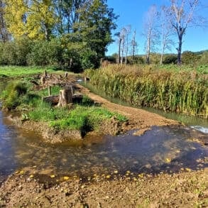 Eastern Yar River Restoration Project