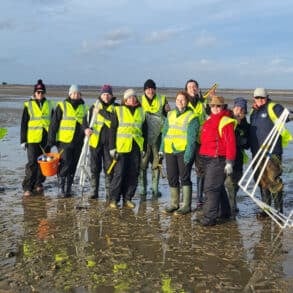 Volunteers planting seagrass seed at Calshot