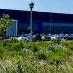 Making space for nature from top to bottom - this business park features native planting, river restoration and a swift nest tower