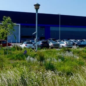 Making space for nature from top to bottom - this business park features native planting, river restoration and a swift nest tower