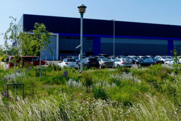 Making space for nature from top to bottom - this business park features native planting, river restoration and a swift nest tower