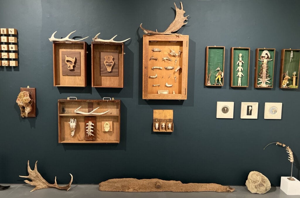 Rag and Bones exhibition at Quay Arts showing artworks and shadows on display