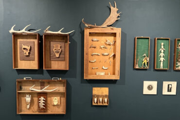 Rag and Bones exhibition at Quay Arts showing artworks and shadows on display