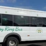 daisy ring bus with blue sky background