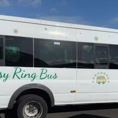 daisy ring bus with blue sky background