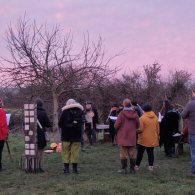 People standing around a tree at sunrise performing a wassail