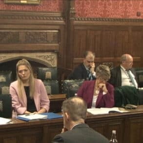 Joe Robertson speaking at the government committee meeting