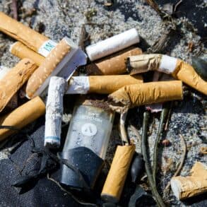 cigarette butts on a beach