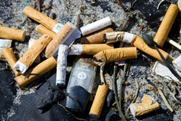 cigarette butts on a beach