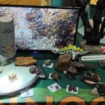 table of fossils at dinosaur Isle