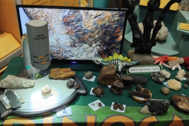 table of fossils at dinosaur Isle