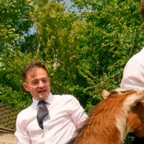 The Apprentice contestants mucking out the goats