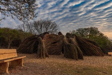 View of the willow sculpture in Golden Hill Country Park - set against a blue sky with mackerel clouds