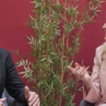 Joe Robertson and Penny Lancaster sitting and chatting to each other