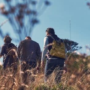 Low down shot of in a field of people walking past
