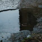 pothole filled with rain