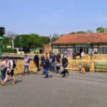 The 2025 great dog walk at Havenstreet Station showing people with their dogs coming off the train