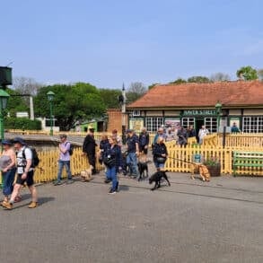 The 2025 great dog walk at Havenstreet Station showing people with their dogs coming off the train