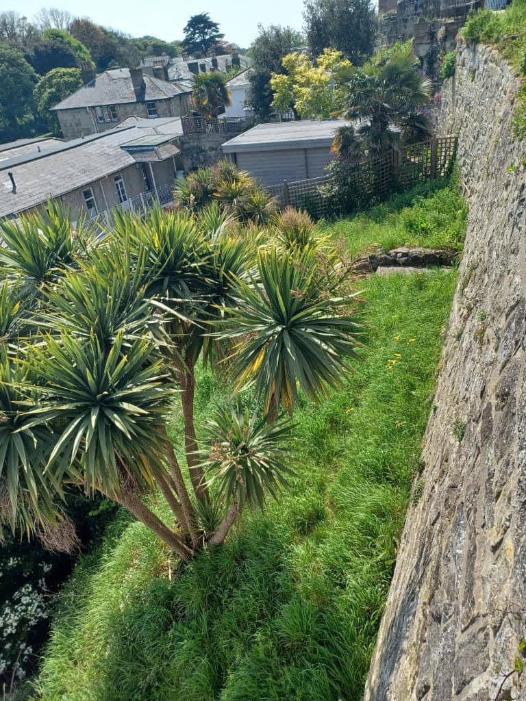 View of the wall on Alpine Road