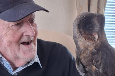 Barry with owl on his hand